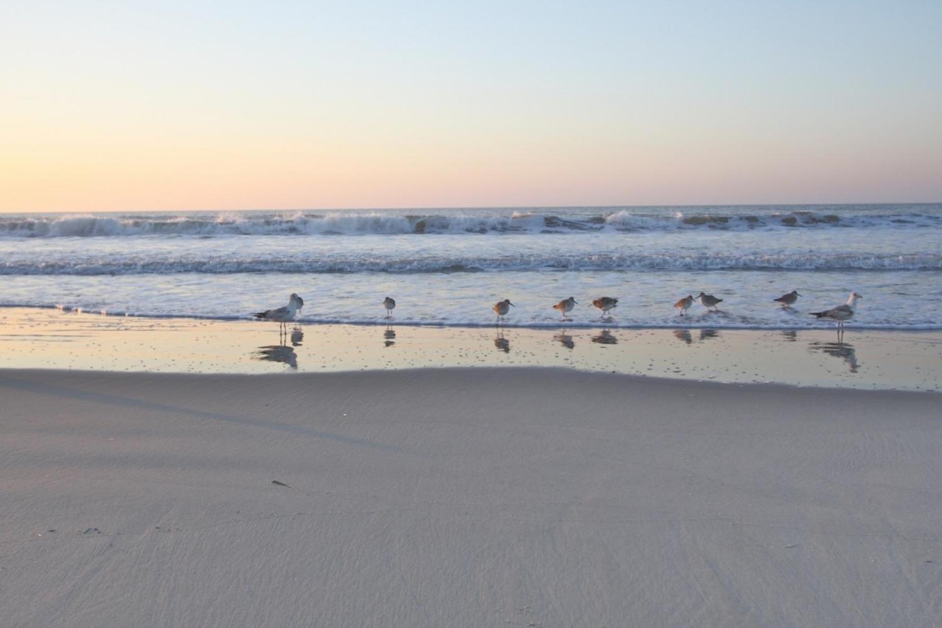 Just Beachy Villa Isle of Palms Ngoại thất bức ảnh